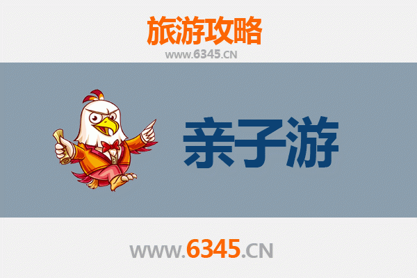 中山神湾镇亲子游全攻略：菠萝的海、湿地探索与休闲农场乐趣