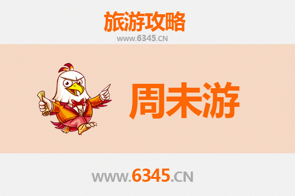 中山神湾镇周末游攻略：菠萝飘香，水乡风情之旅